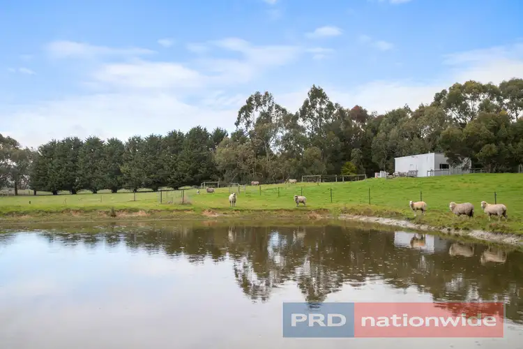 Second view of Homely house listing, 19 Cynthia Court, Haddon VIC 3351