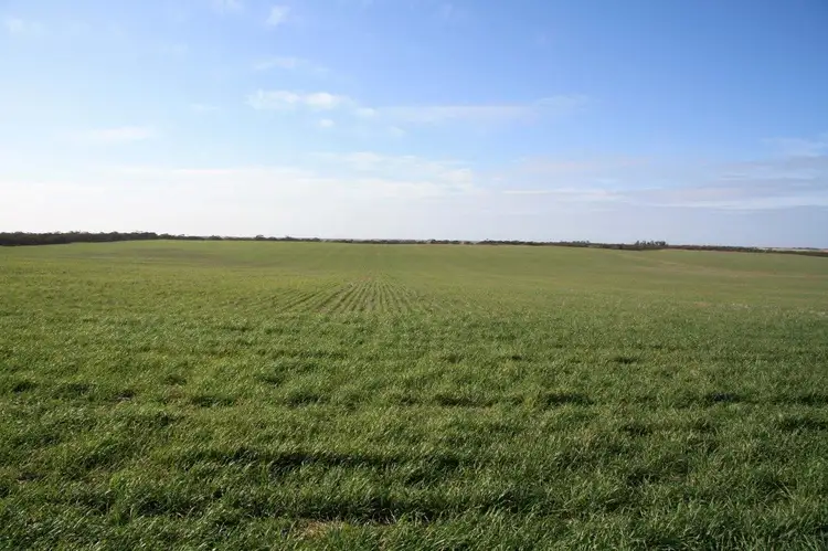 Third view of Homely rural property listing, Lot 15,17 & 20 NORTH ROAD, Murrayville VIC 3512