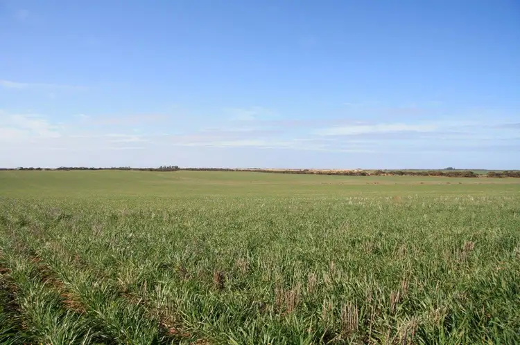 Fourth view of Homely rural property listing, Lot 15,17 & 20 NORTH ROAD, Murrayville VIC 3512