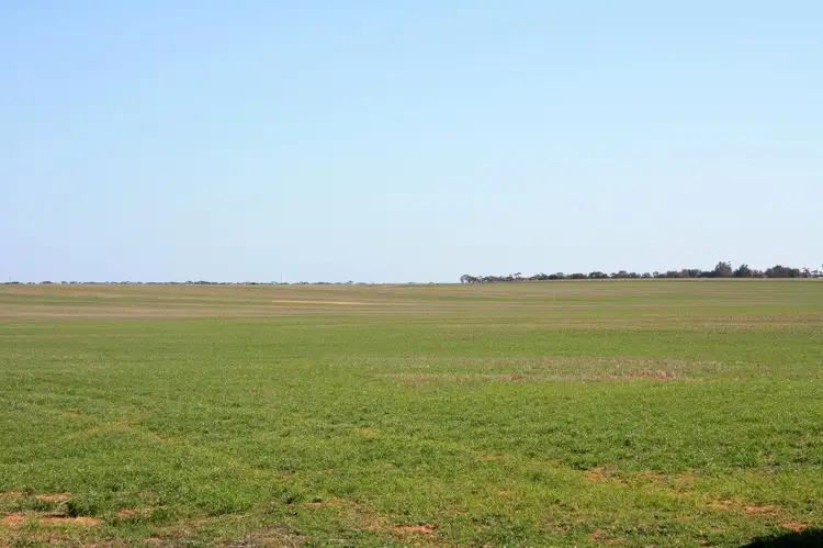 Sixth view of Homely rural property listing, Lot 15,17 & 20 NORTH ROAD, Murrayville VIC 3512