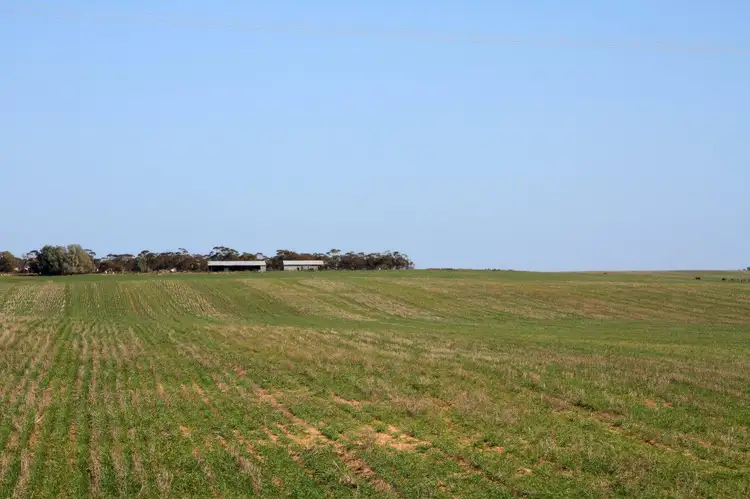 Seventh view of Homely rural property listing, Lot 15,17 & 20 NORTH ROAD, Murrayville VIC 3512