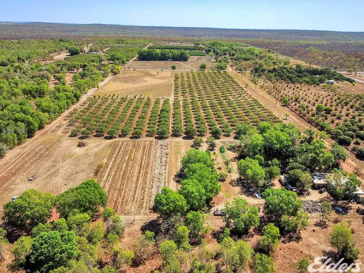 605 Mocatto Road, Acacia Hills NT 822