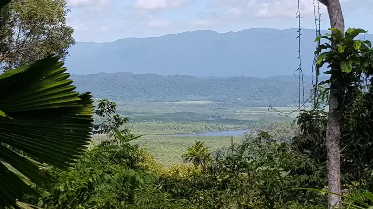 Second view of Homely house listing, 37 Cape Trib Road, Daintree QLD 4873