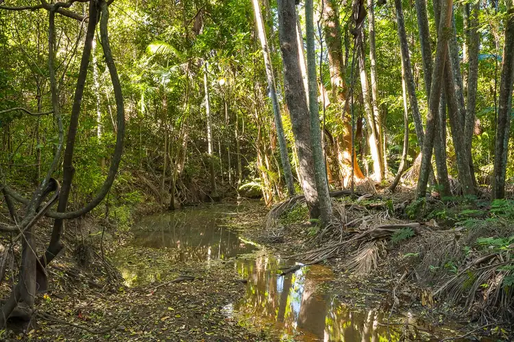 Sixth view of Homely land listing, Lot 3 Rive Court, Wights Mountain QLD 4520