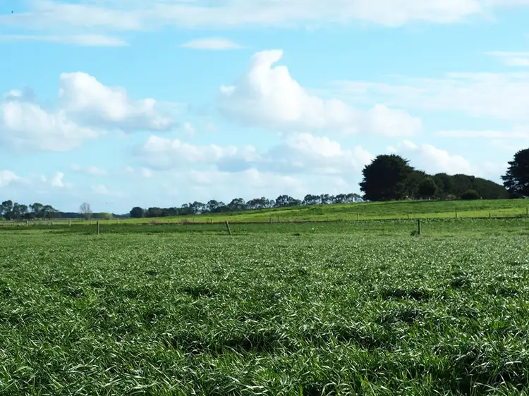 Second view of Homely rural property listing, 684 Darlington Road, Bookaar VIC 3260