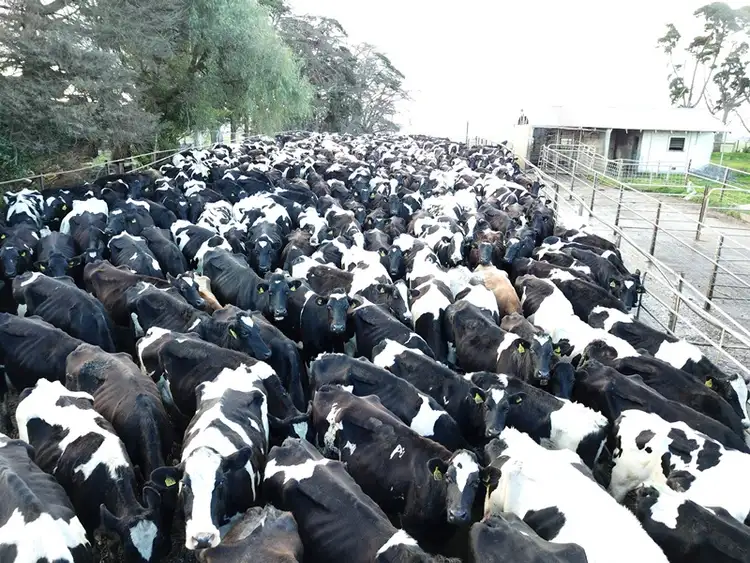 Sixth view of Homely rural property listing, 684 Darlington Road, Bookaar VIC 3260