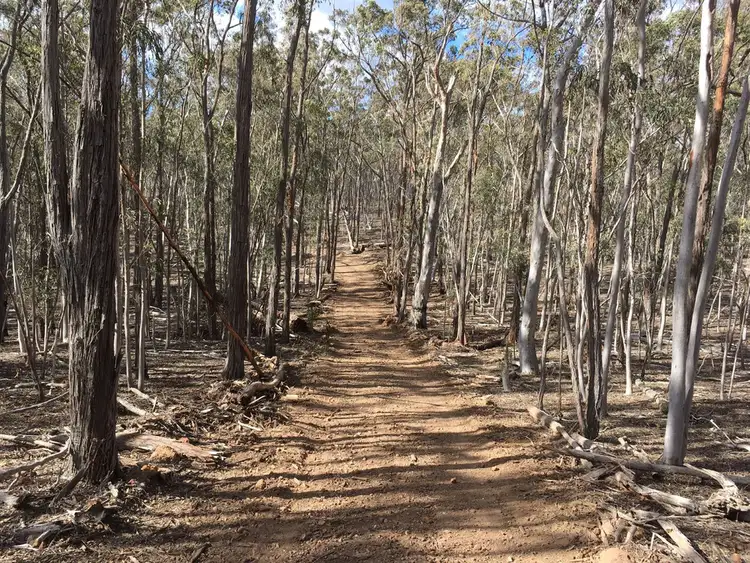 Second view of Homely rural property listing, 334 Old Timberlight Road, Nerriga NSW 2622