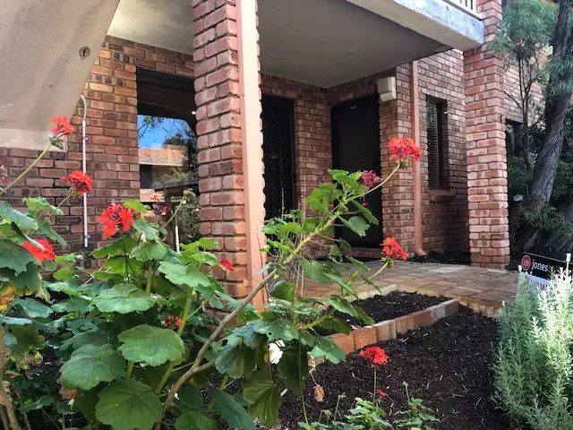 Main view of Homely unit listing, 6/80 Edgecumbe Street, Como WA 6152