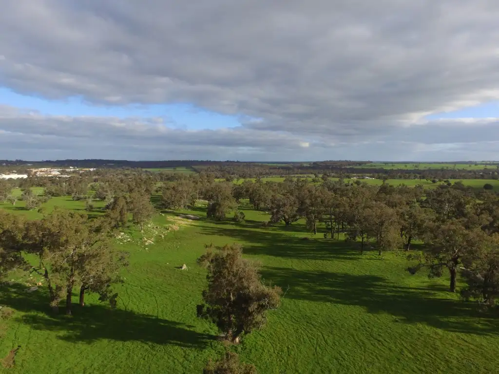 Main view of Homely rural property listing, 119 Tunney Road, Kojonup WA 6395