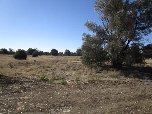 Third view of Homely rural property listing, LOT 18 SURAT DEVELOPMENTAL RD, Tara QLD 4421