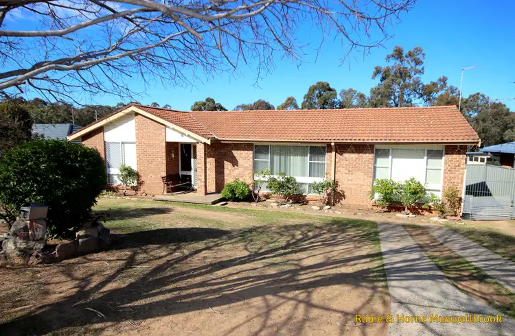 4 Shiraz Street, Muswellbrook NSW 2333