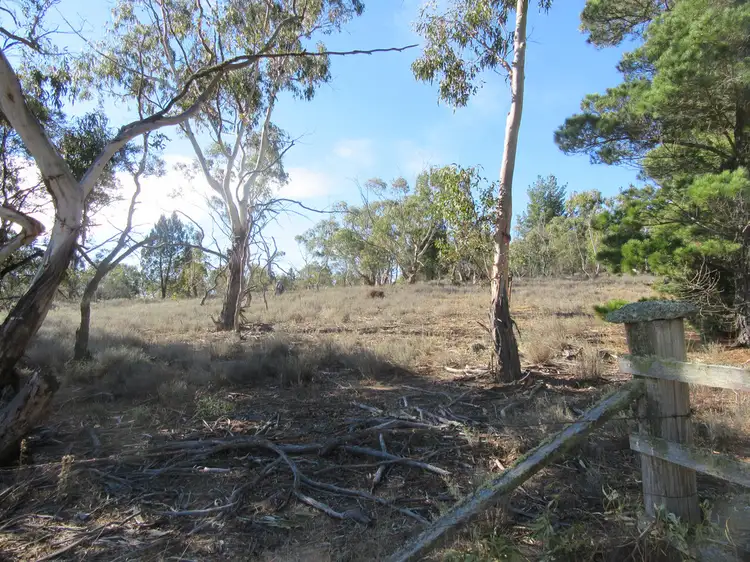 Third view of Homely rural property listing, 205 SCOTTS ROAD, Cooma NSW 2630