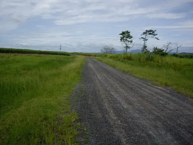 Fourth view of Homely rural property listing, Address available on request