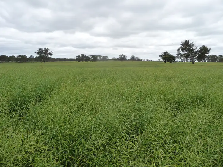Second view of Homely rural property listing, 7340 Wimmera Highway, Edenhope VIC 3318