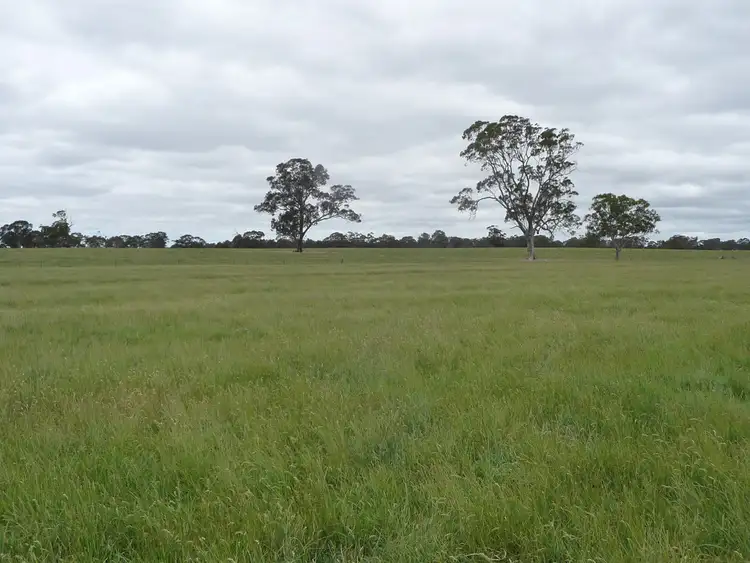 Fifth view of Homely rural property listing, 7340 Wimmera Highway, Edenhope VIC 3318