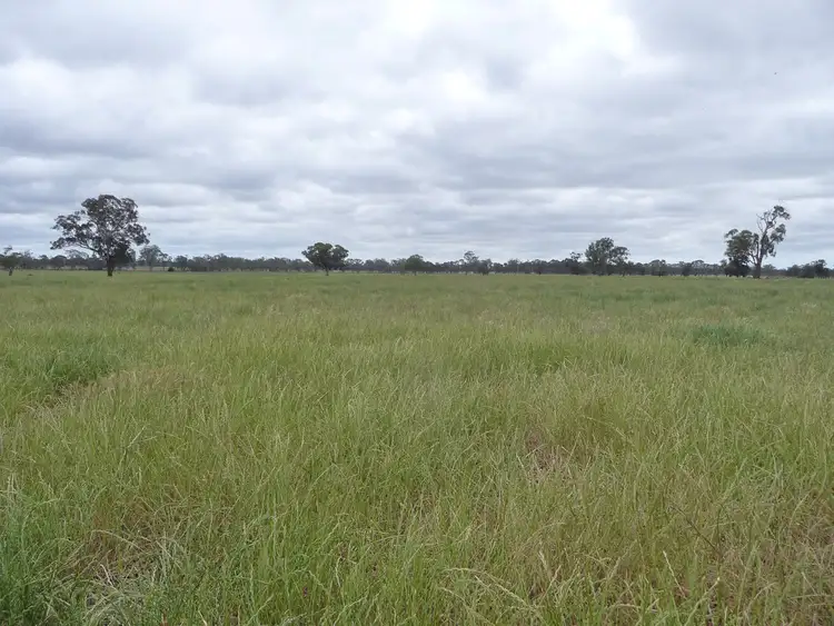 Seventh view of Homely rural property listing, 7340 Wimmera Highway, Edenhope VIC 3318