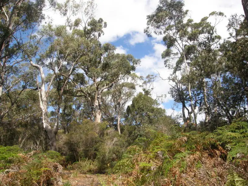Main view of Homely land listing, Lot 2 Skeggs Ave, White Beach TAS 7184