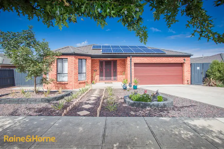 52 Burge Drive, Sunbury VIC 3429