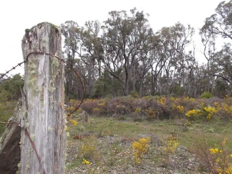 Second view of Homely rural property listing, LOT 2718 Ashley Road, Manjimup WA 6258