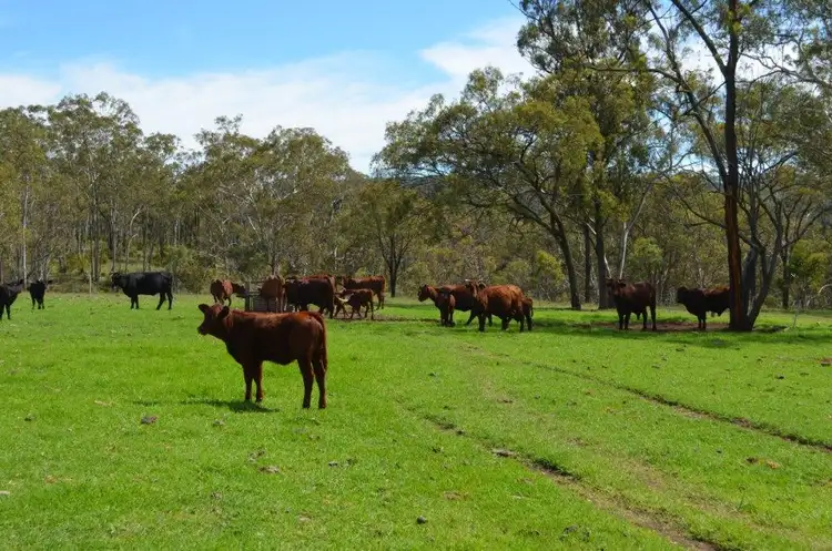 Fourth view of Homely rural property listing, 0 Hendrie Road, Pilton QLD 4361