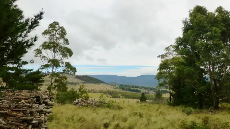 Seventh view of Homely rural property listing, Lot 1 & 217 Kain Cross Road, Krawarree NSW 2622