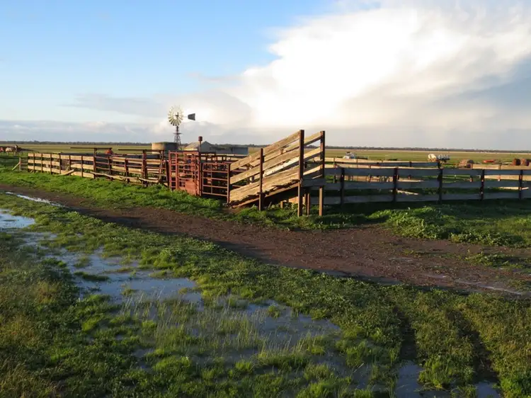 Second view of Homely rural property listing, "Nocoleigh" Lower River Road, Deniliquin NSW 2710