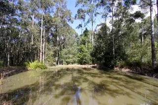 Fifth view of Homely rural property listing, Lots 104 Woodburn Road, Milton NSW 2538