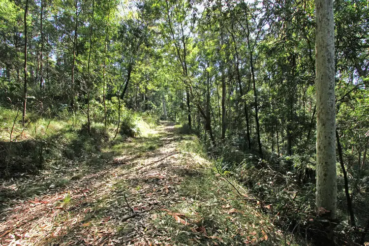Fifth view of Homely land listing, Lot 4 Tallgums Way, Surf Beach NSW 2536