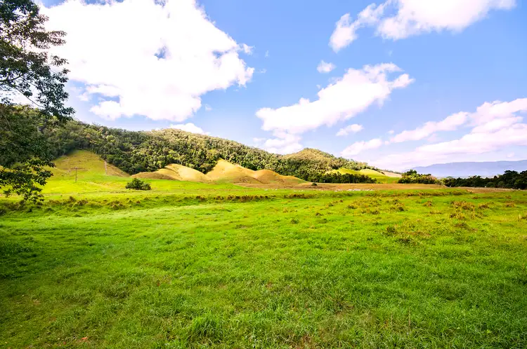 Fifth view of Homely land listing, Lot 1 Stewart Creek Road (Stewart Creek Valley), Daintree QLD 4873