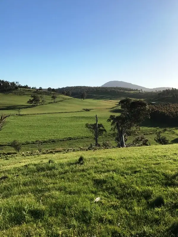 188 Tin Pot Marsh Road, Woodsdale TAS 7120