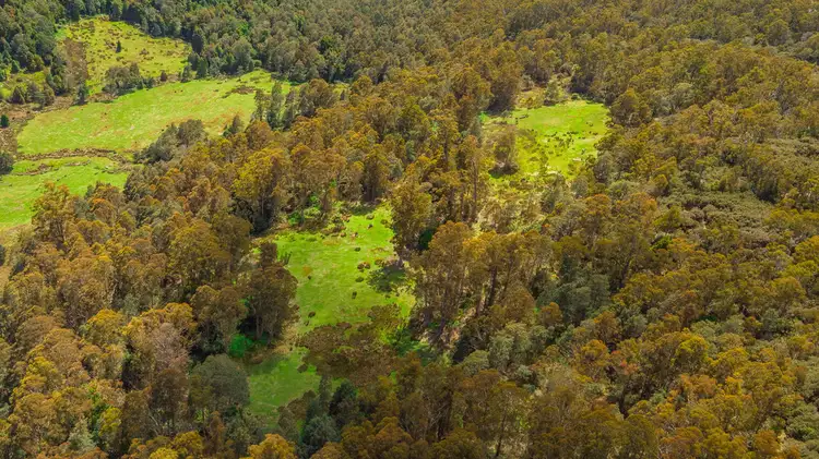 Sixth view of Homely rural property listing, PID7304330 Highland Lakes Road, Golden Valley TAS 7304