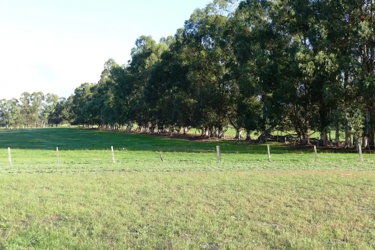 Sixth view of Homely rural property listing, Lot 3 Garvey Road, Crooked Brook WA 6236