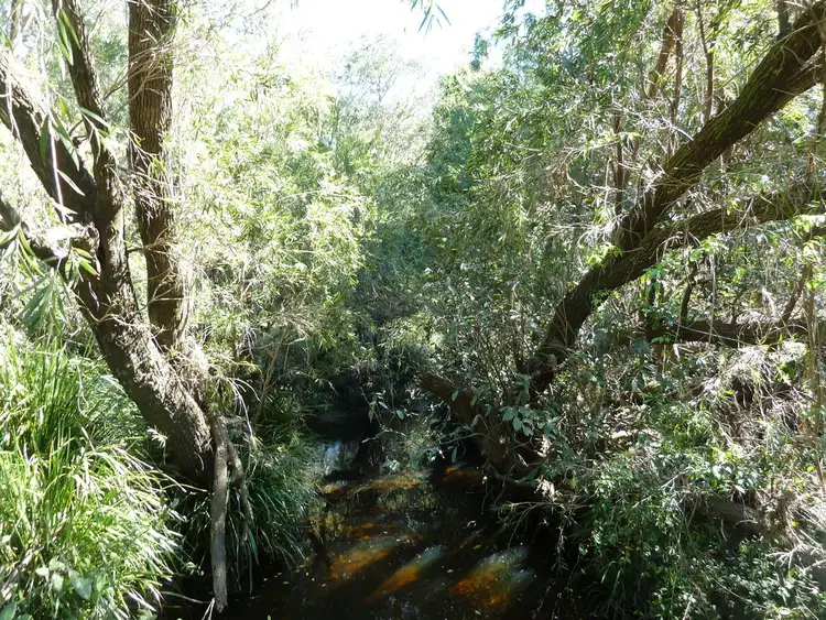 Second view of Homely rural property listing, 1088 Old Dyraaba Road, Kyogle NSW 2474