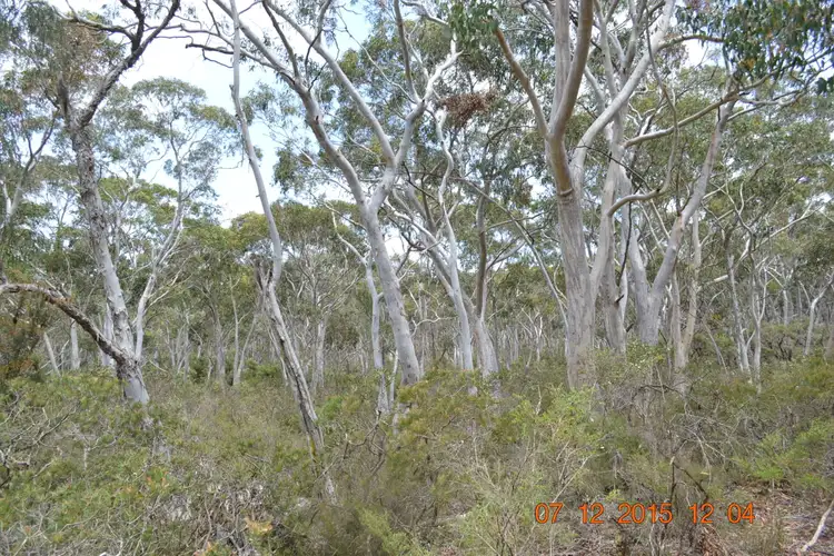 Third view of Homely rural property listing, Lot 1 Old Mandemar Rd, Berrima NSW 2577