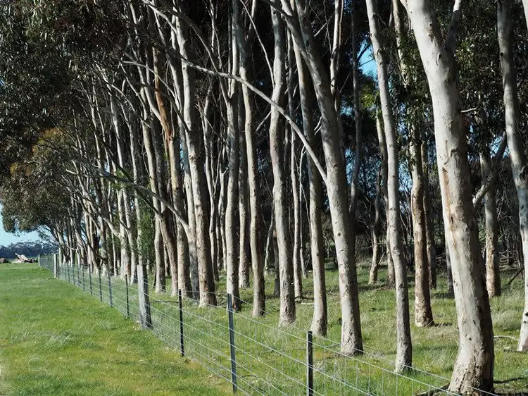 Fifth view of Homely rural property listing, - Chatsworth Road, Derrinallum VIC 3325