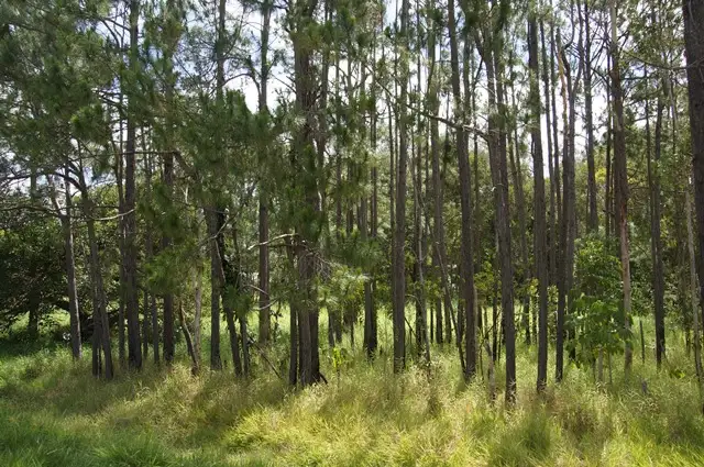 Fourth view of Homely land listing, 70 Read Street, Tewantin QLD 4565