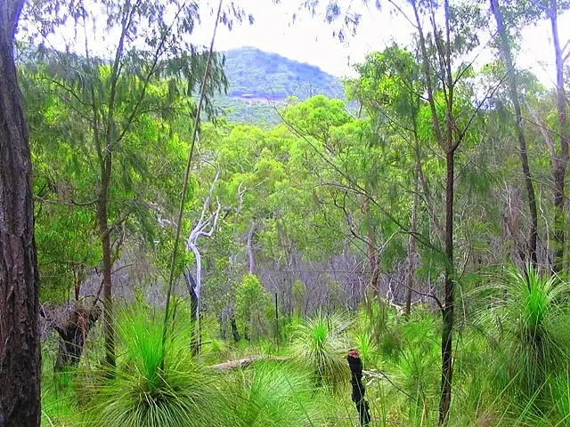 lot 340 Streeter Drive, Agnes Water QLD 4677