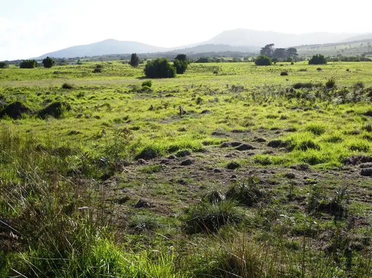 Third view of Homely land listing, Lot 40 Thunder & Lightning Road, Cape Barren Island, Flinders Island TAS 7255