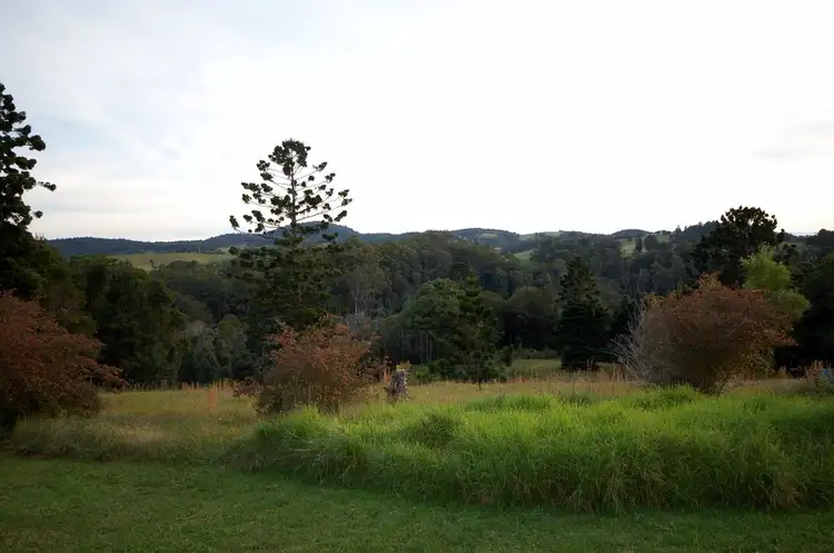 Fourth view of Homely rural property listing, 397 Slingsbys Road, Dorrigo NSW 2453
