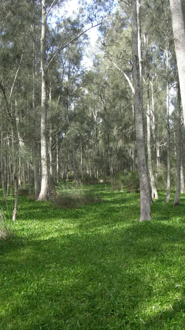 Second view of Homely land listing, 74 Narrawallee Ck Rd, Lake Conjola NSW 2539