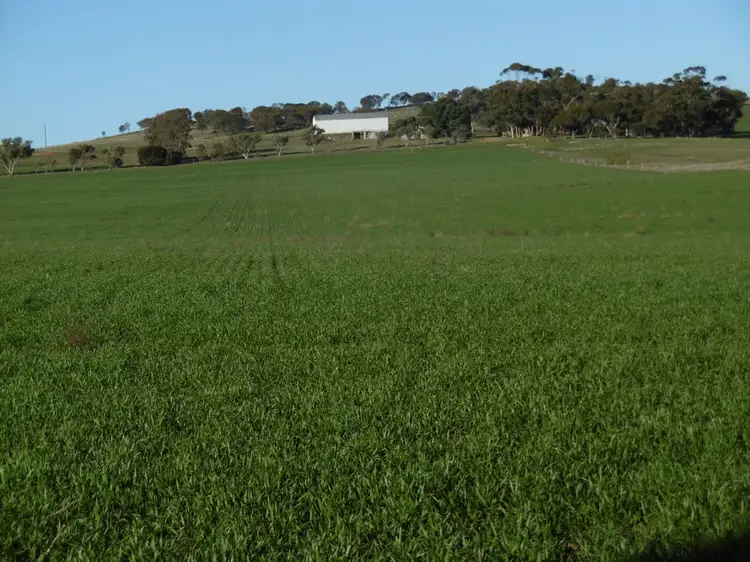 294 Ferguson Road, Jamestown SA 5491