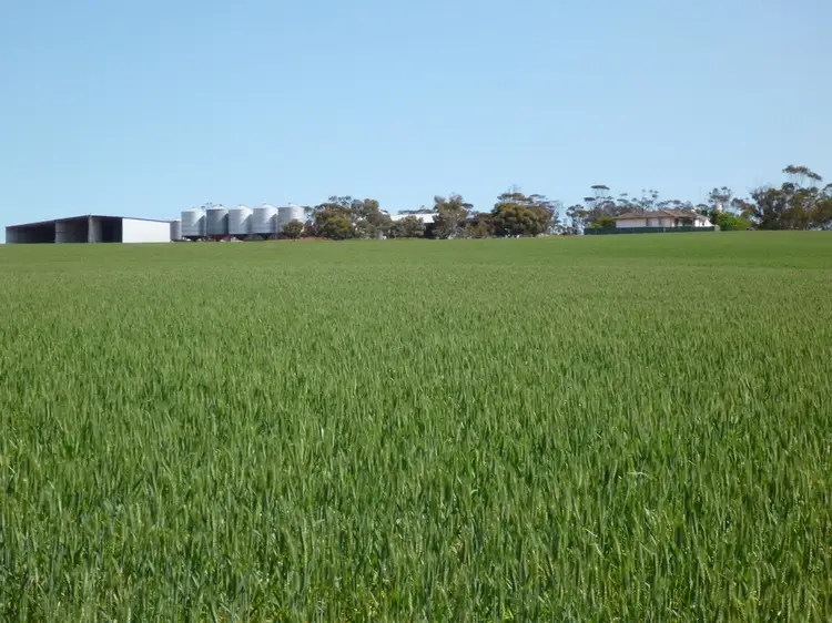 Main view of Homely rural property listing, 1205 Jarring South Road Tarin Rock, Lake Grace WA 6353