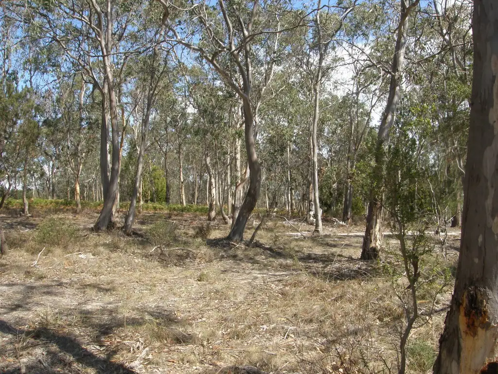 Main view of Homely land listing, Lot 6 Gillingbrook Road, Forcett TAS 7173