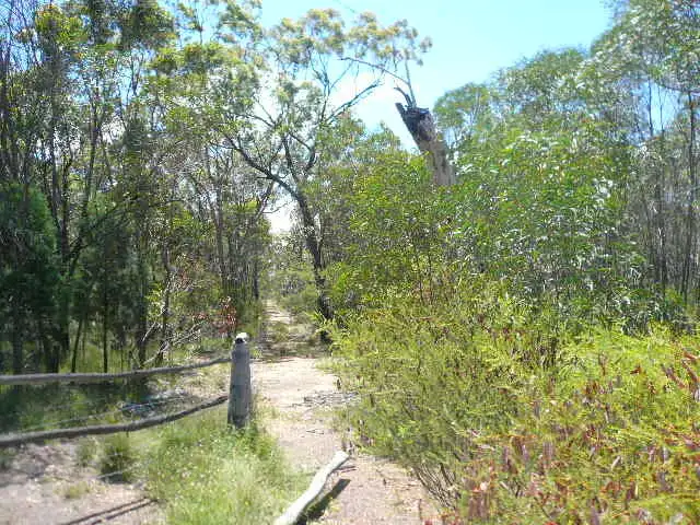 5135 TARA CHINCHILLA ROAD, Tara QLD 4421