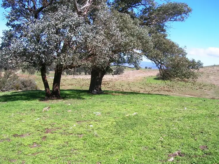 Seventh view of Homely rural property listing, Lot 2 - 71 Johnsons Ck Rd, Alexandra VIC 3714