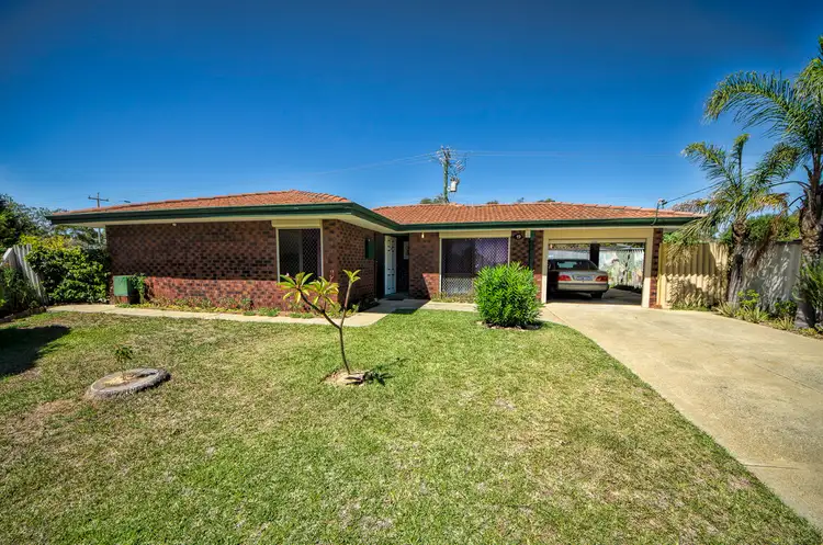 19 Chenile Mews, Mirrabooka WA 6061