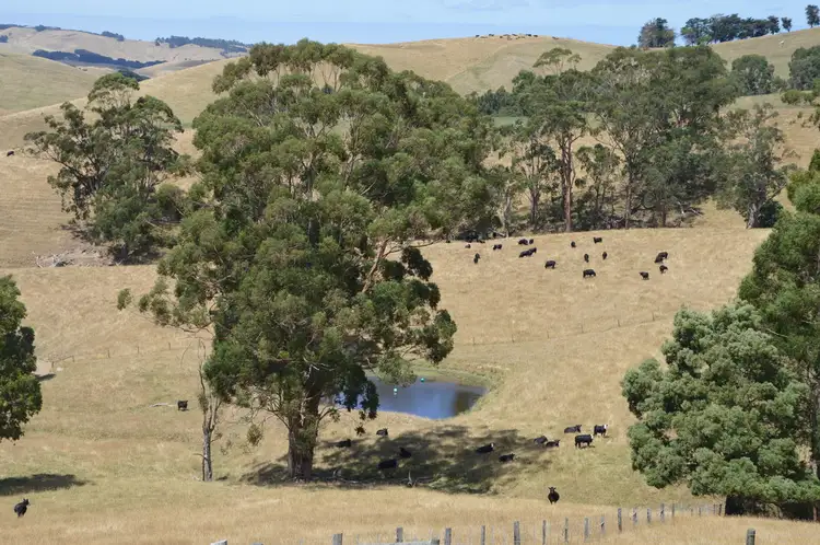 Main view of Homely rural property listing, 605 BENA-KONGWAK ROAD, Bena VIC 3946