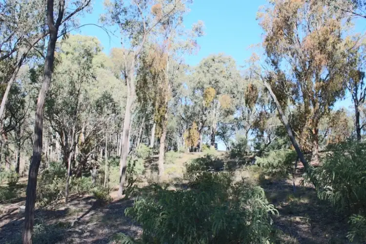 Seventh view of Homely rural property listing, 192 Colleen Hagney Lane, Peel NSW 2795