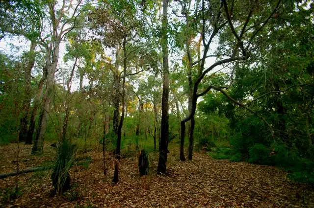 Second view of Homely land listing, 5 Dunkley Close, Molloy Island WA 6290