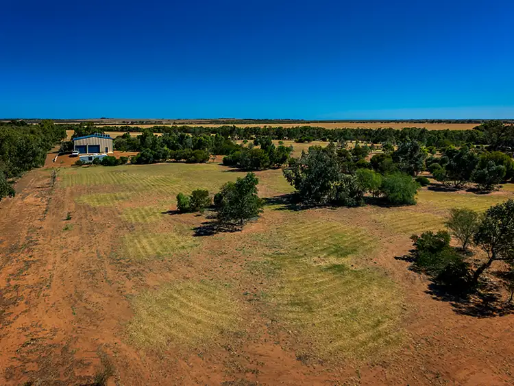 Seventh view of Homely rural property listing, 6521 Nangetty-Walkaway Road, Walkaway WA 6528
